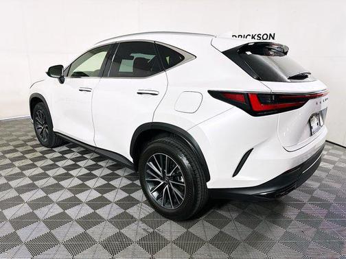 2024 Lexus NX 250 Premium