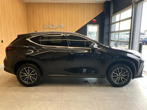 2025 Lexus NX 250 Premium