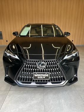 2025 Lexus NX 250 Premium