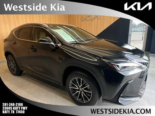 2025 Lexus NX 250 Premium