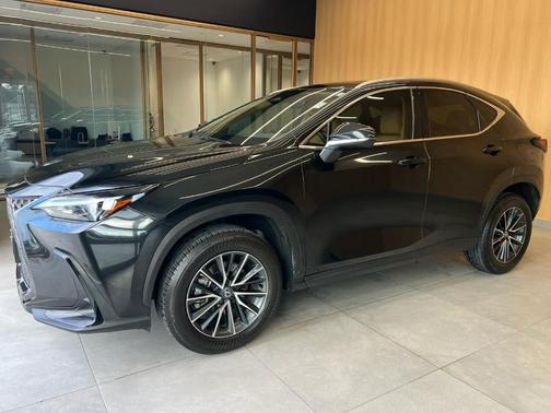 2025 Lexus NX 250 Premium