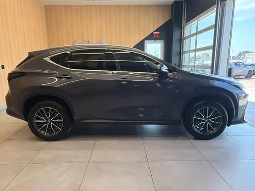 Cloudburst Gray 2025 Lexus NX 250 Base