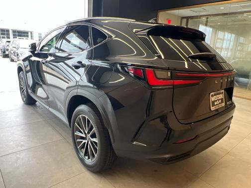 2024 Lexus NX 250 Premium