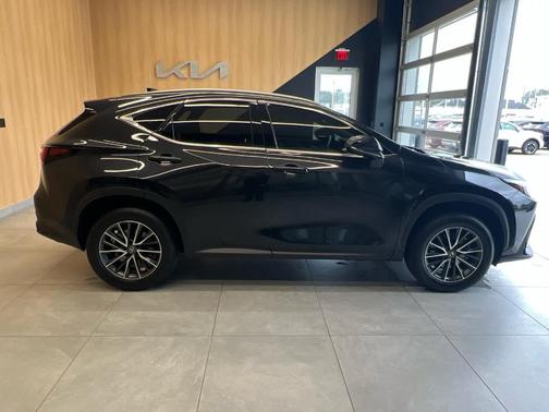 2024 Lexus NX 250 Premium