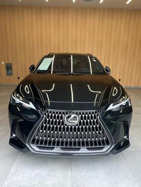 2024 Lexus NX 250 Premium