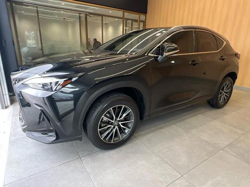 2024 Lexus NX 250 Premium
