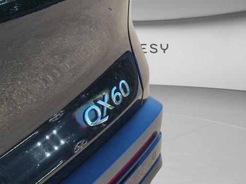 2023 INFINITI QX60 Pure