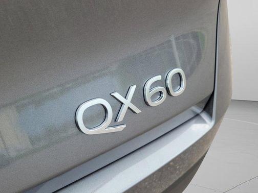 Graphite Shadow 2026 INFINITI QX60 LUXE FWD
