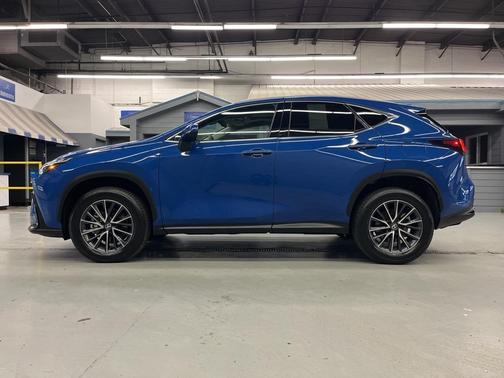 2025 Lexus NX 350 Base