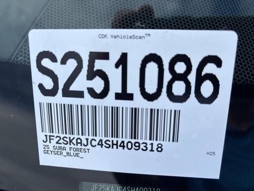 2025 Subaru Forester Wilderness