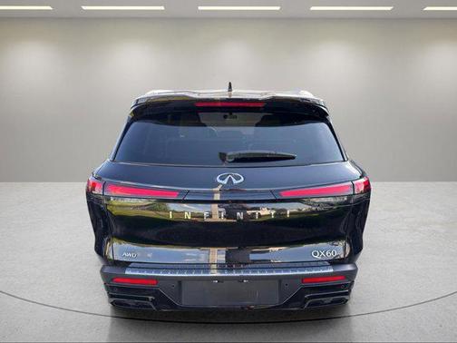 Mineral Black 2023 INFINITI QX60 Luxe