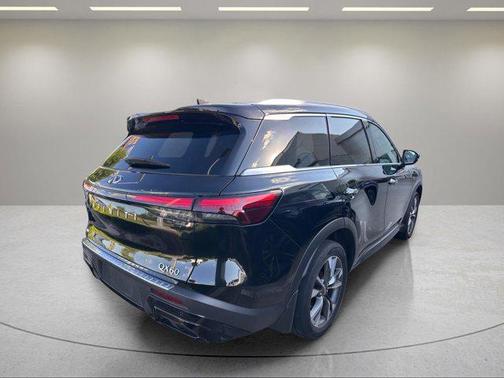 Mineral Black 2023 INFINITI QX60 Luxe