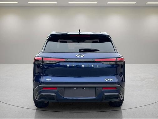 Grand Blue 2025 INFINITI QX60 Luxe