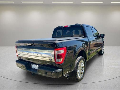 Agate Black Metallic 2023 Ford F-150 Limited
