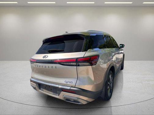 2022 INFINITI QX60 Luxe