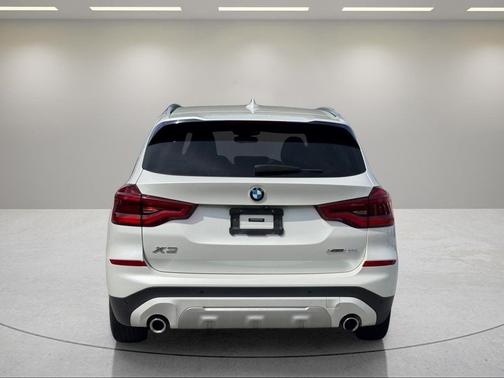 Mineral White Metallic 2020 BMW X3 xDrive30i