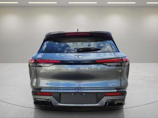 Graphite Shadow 2023 INFINITI QX60 Luxe