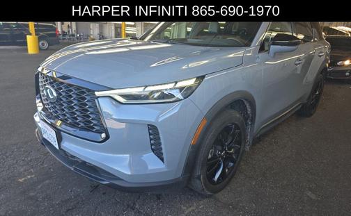 Harbor Gray 2025 INFINITI QX60 Luxe