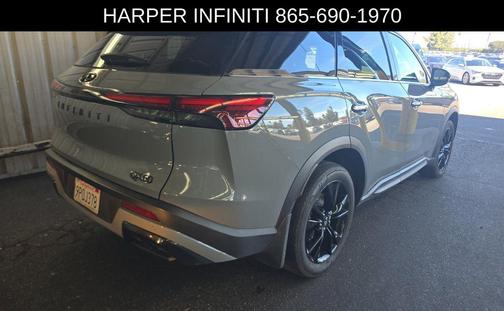 Harbor Gray 2025 INFINITI QX60 Luxe