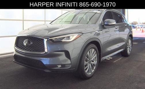 Graphite Shadow 2023 INFINITI QX50 LUXE