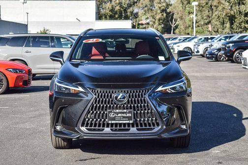 2025 Lexus NX 350 Premium