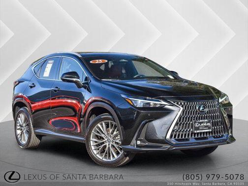 2025 Lexus NX 350 Premium