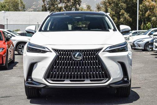 2025 Lexus NX 450h+ Luxury