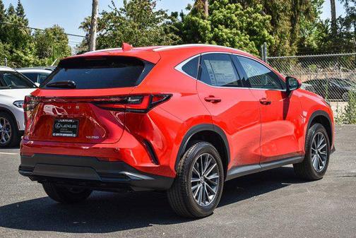 2025 Lexus NX 250 Premium