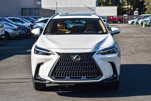 2025 Lexus NX 350h Premium