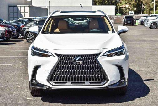 2026 Lexus NX 350 NX 350
