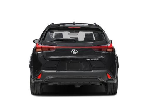 2zh/Eb21 2026 Lexus UX 300h F SPORT Handling
