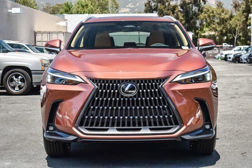 2025 Lexus NX 250 Base