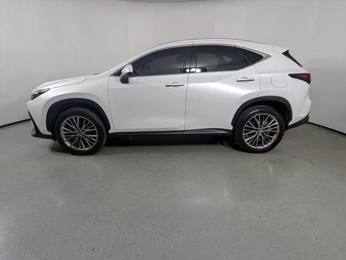 2022 Lexus NX 350 Luxury