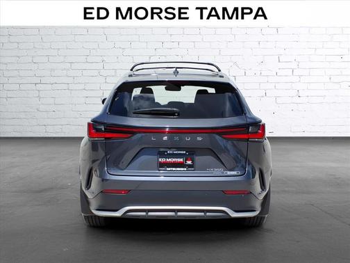 Cloudburst Gray 2024 Lexus NX 350 F SPORT Handling