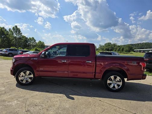 2015 Ford F-150 Platinum