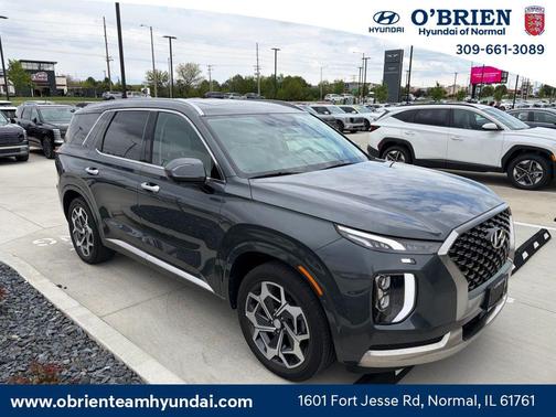 Steel Graphite 2022 Hyundai PALISADE Calligraphy