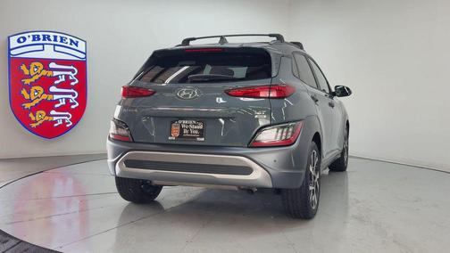 Cactus Fern 2022 Hyundai KONA Limited