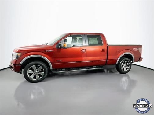 2014 Ford F-150 FX4
