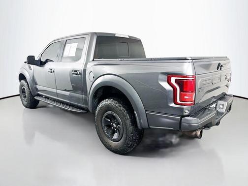 Magnetic Metallic 2018 Ford F-150 Raptor