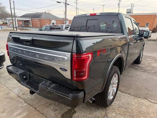 2015 Ford F-150 Platinum