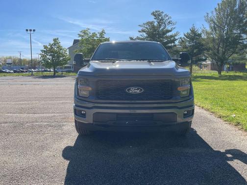 Gray Metallic 2025 Ford F-150 STX