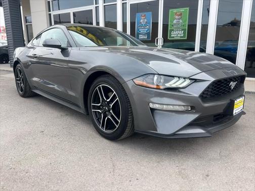 2023 Ford Mustang EcoBoost