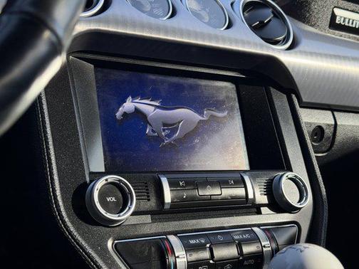 2019 Ford Mustang Bullitt