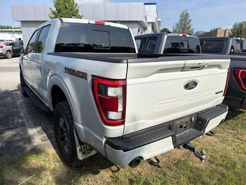 Avalanche 2023 Ford F-150 Tremor