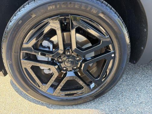 Panthera Metal 2025 Kia Telluride SX X-Line