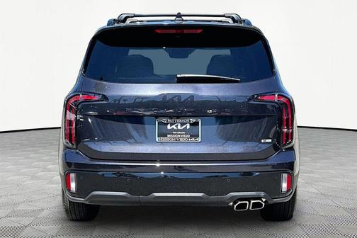 Panthera Metal 2025 Kia Telluride SX X-Line