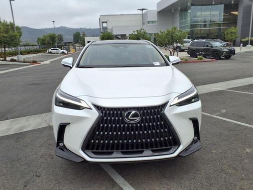 2025 Lexus NX 350h Luxury