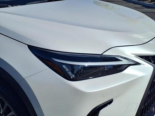 2025 Lexus NX 350h Premium