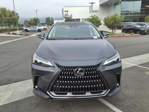 2025 Lexus NX 250 Base