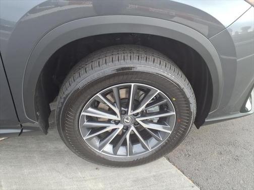 2025 Lexus NX 250 Base